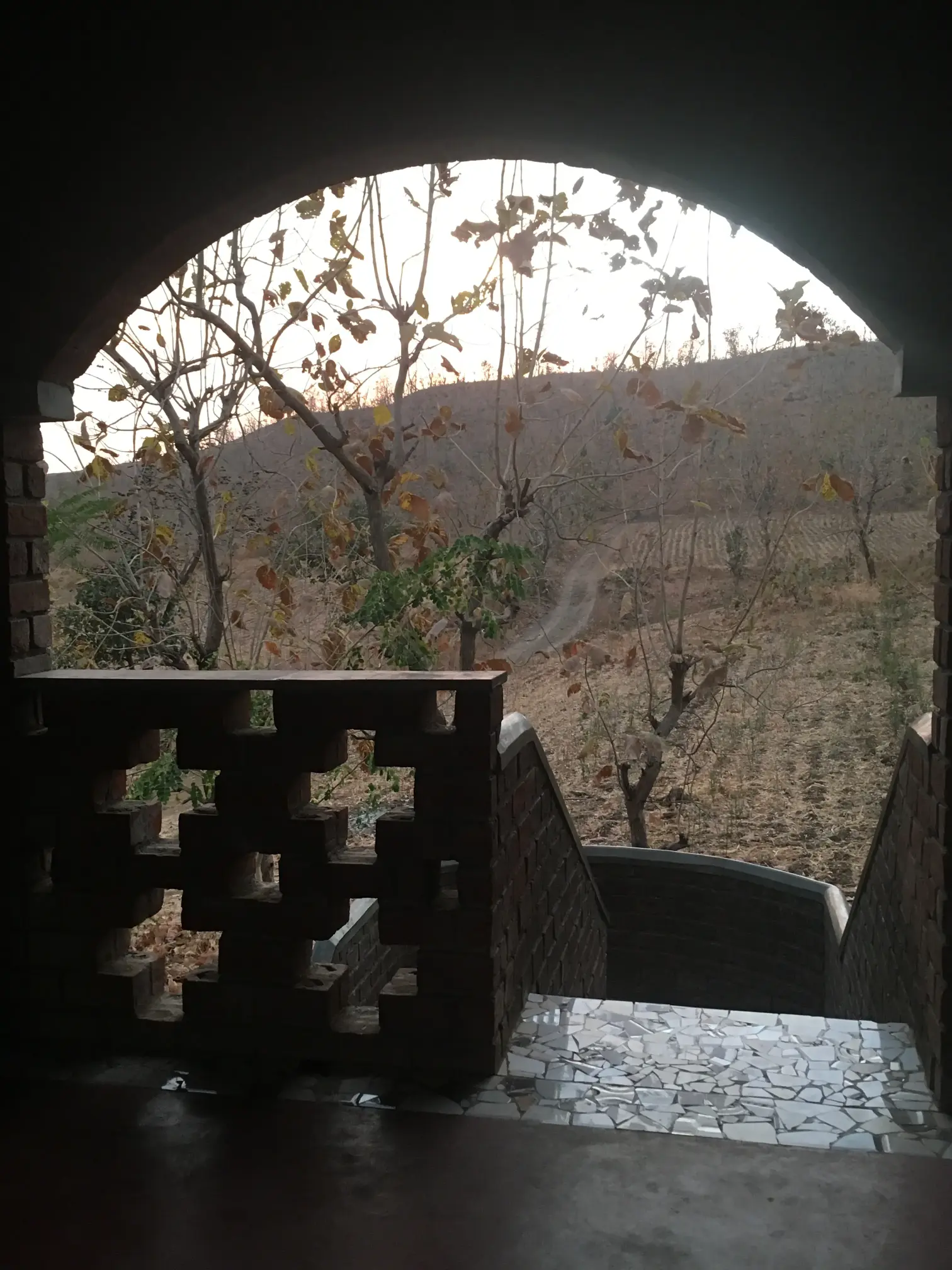 One Star View From an Arch & Brick Jali