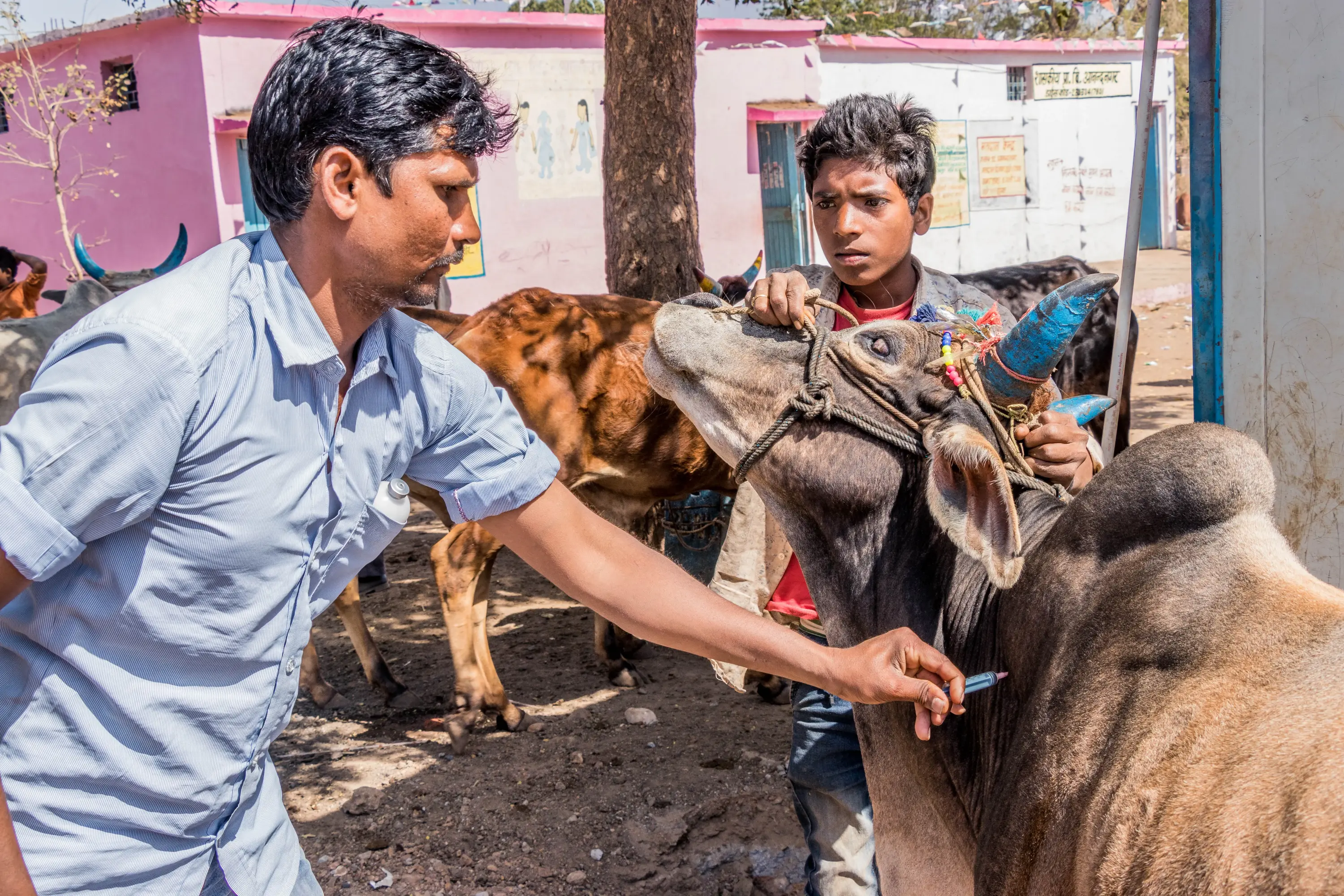 anandnagar_vet_camp_07february2019 (13)