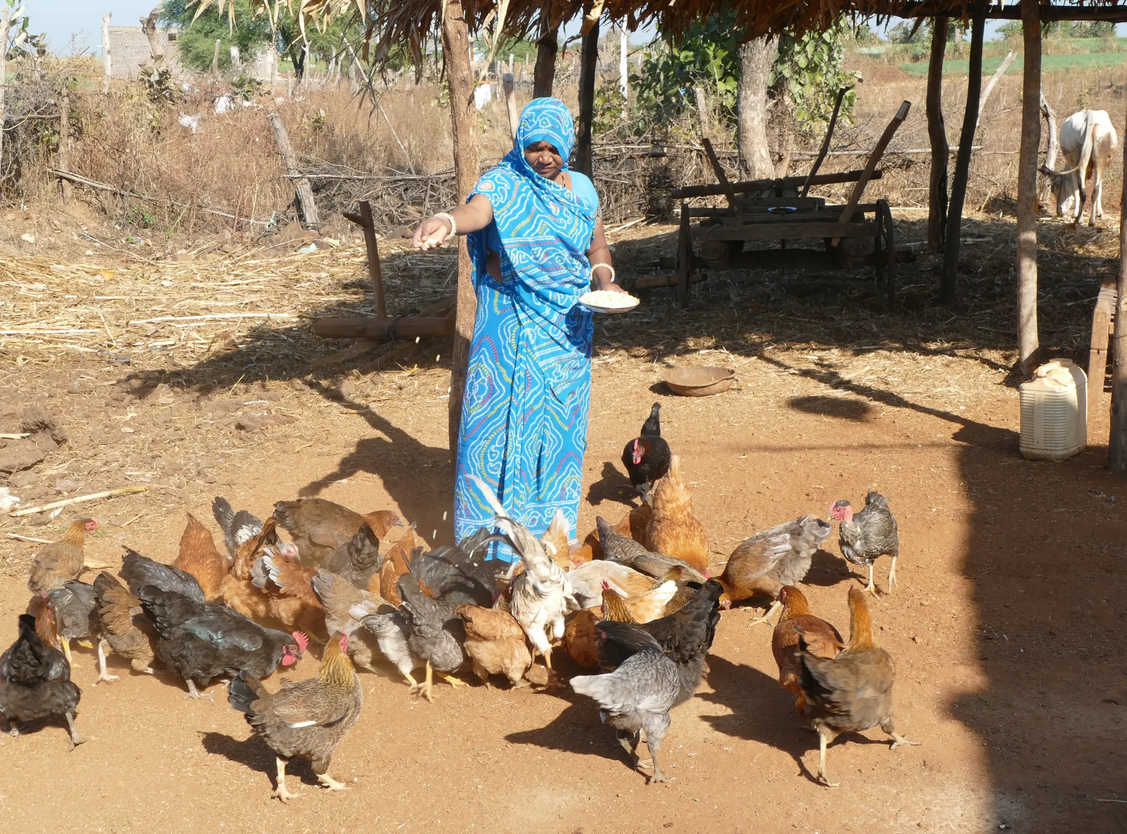 basantbai_ramlal_13january2020 (2)