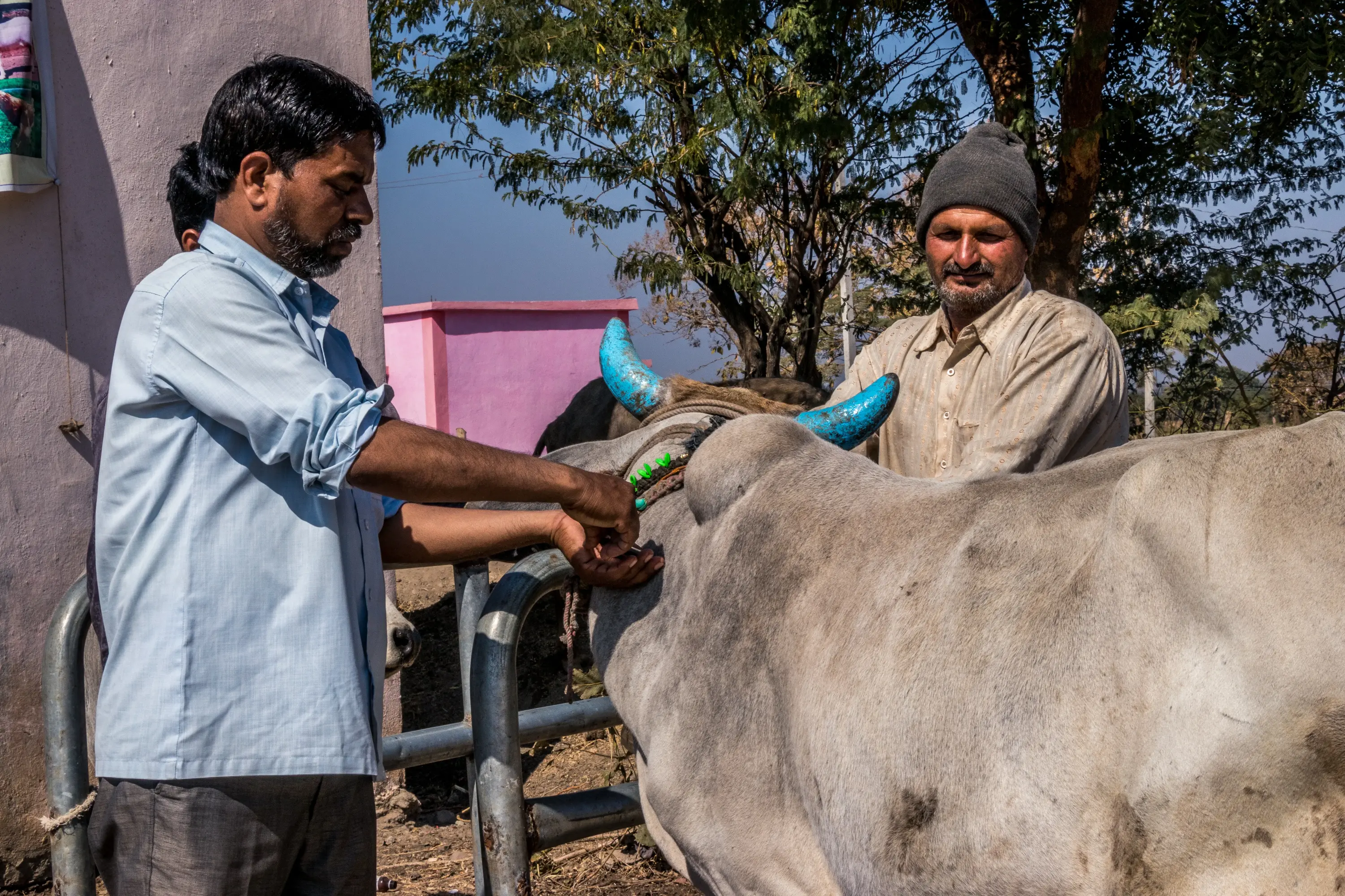 dhigarkheda_vet_camp_17january2019 (17)
