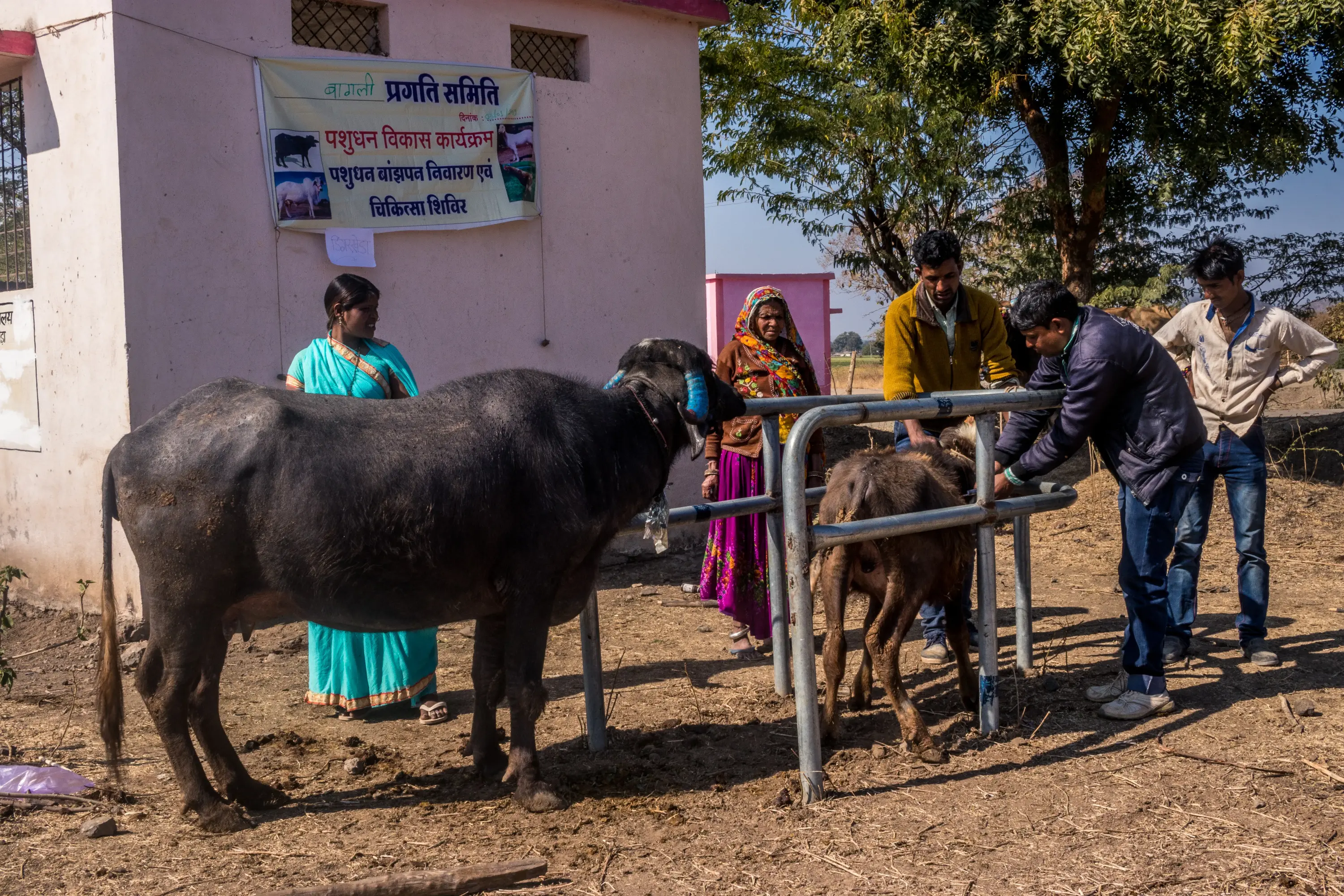 dhigarkheda_vet_camp_17january2019 (45)
