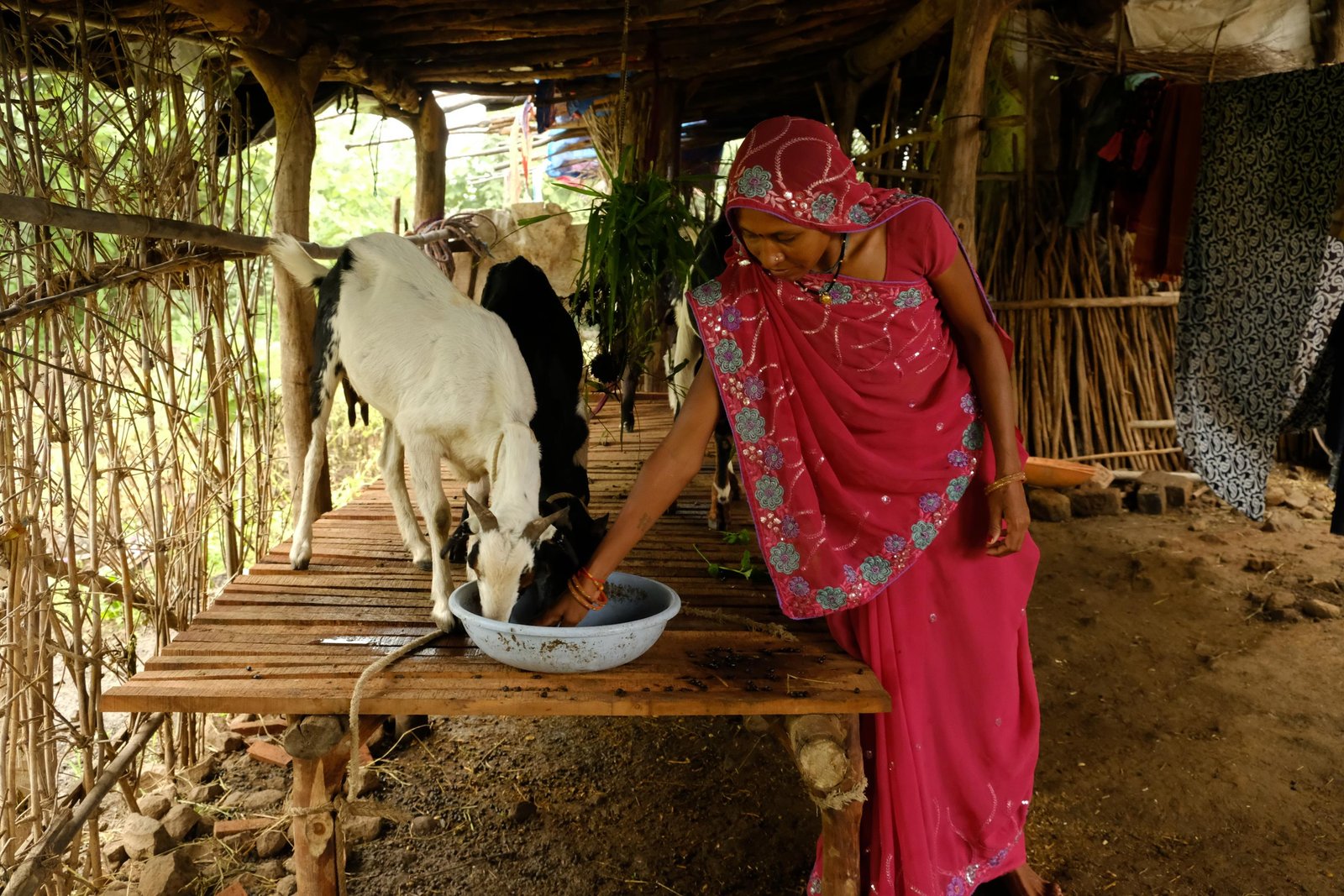 manishabai_rakesh_04september2019 (14)