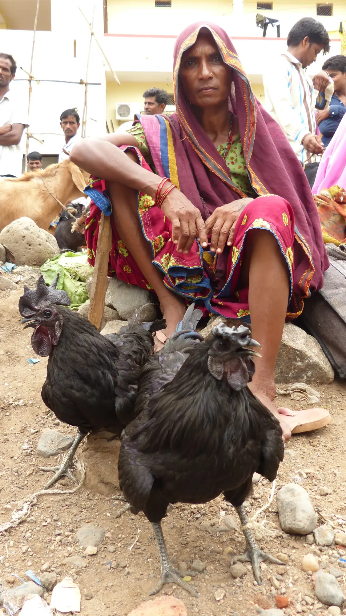udainagar_28may2016 (3)