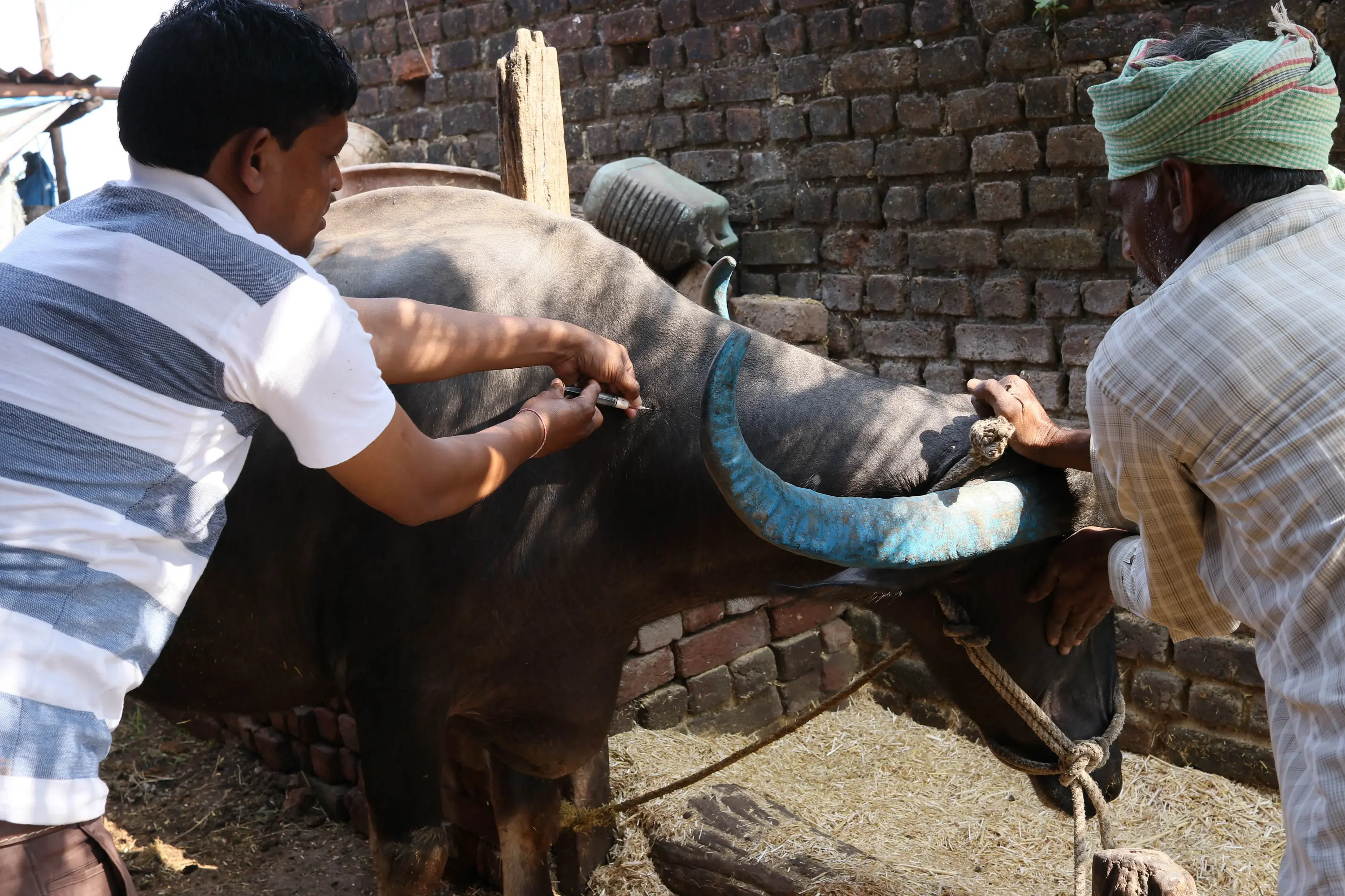 vaccination_14november2020 (45)