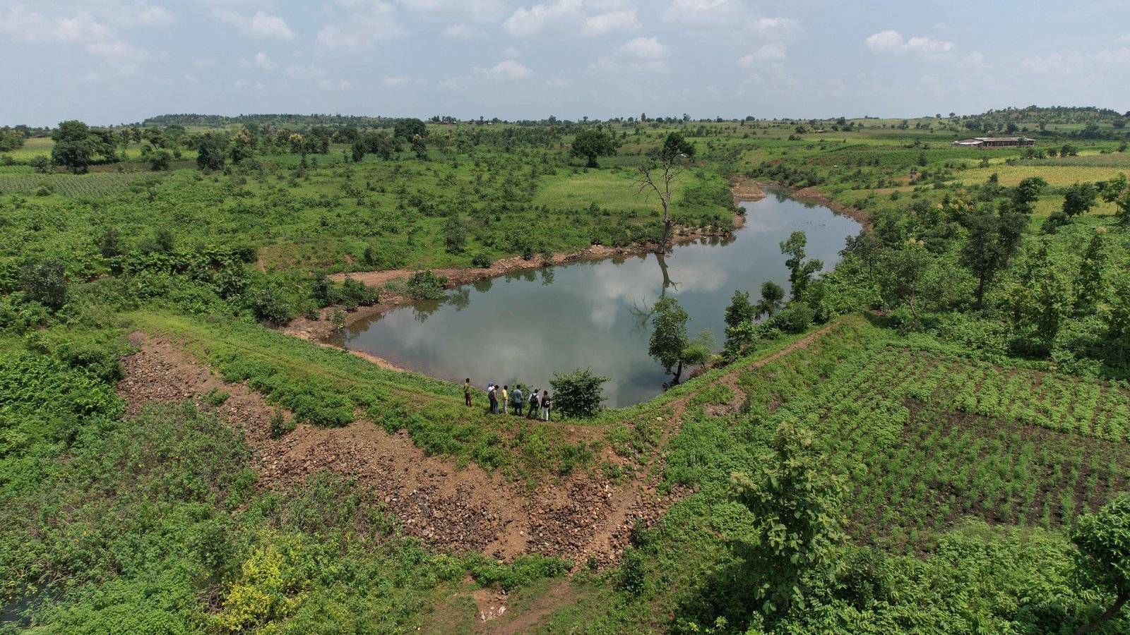 DJI_0085