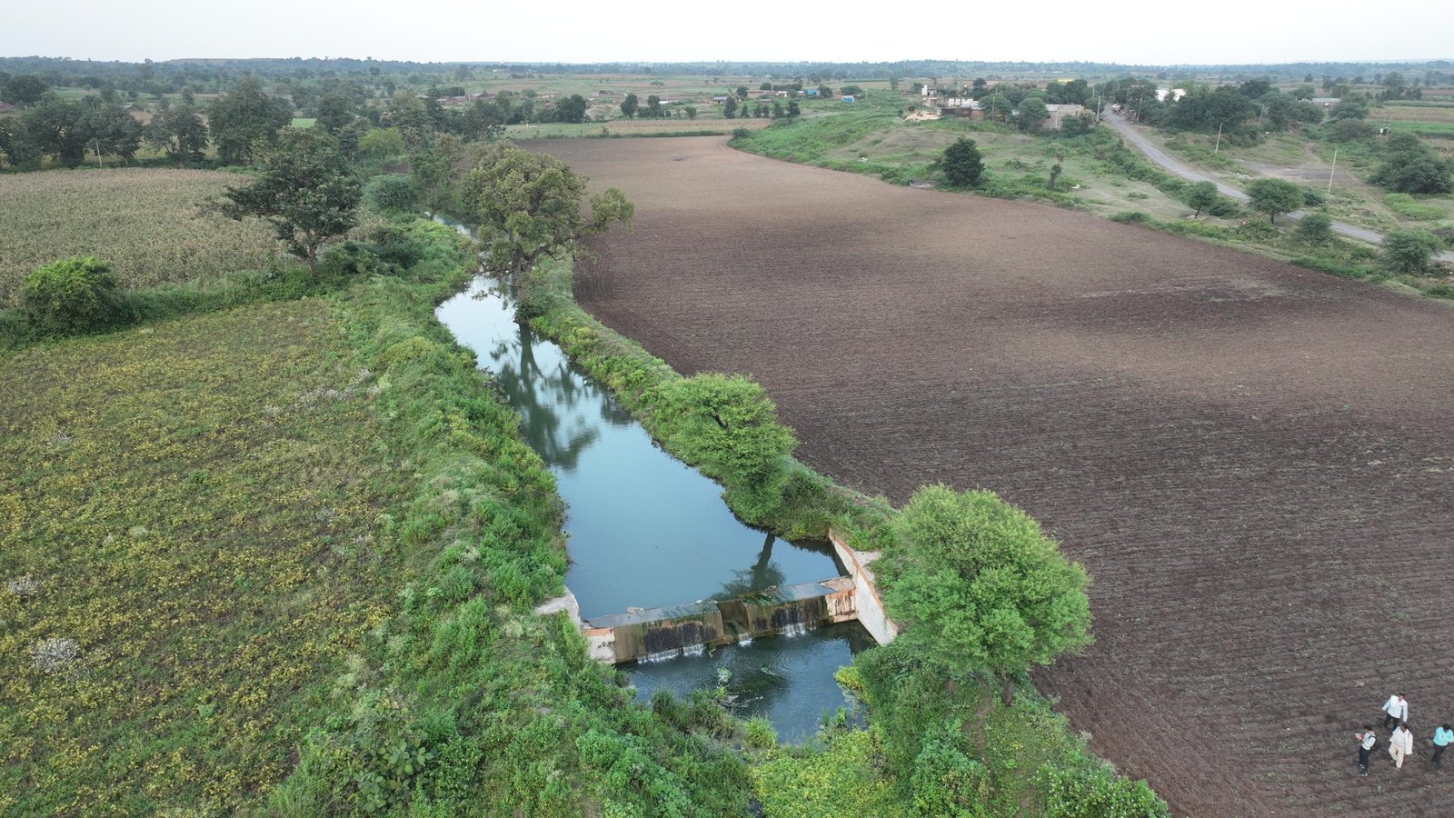 DJI_0350