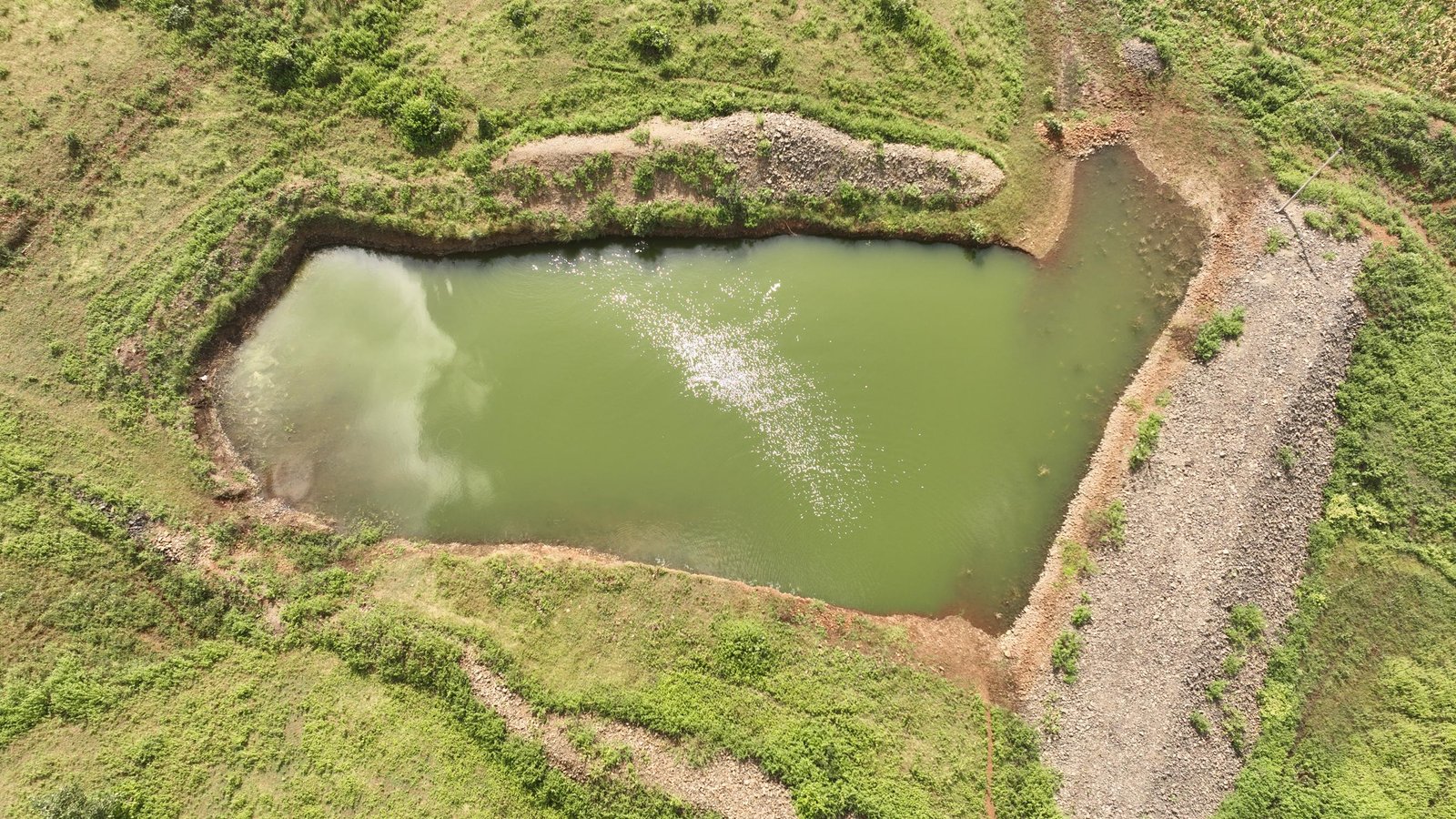 DJI_0404