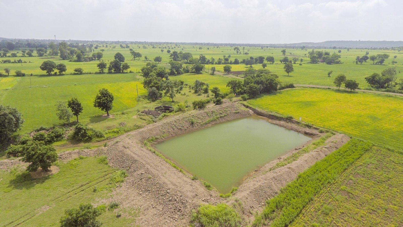 badrilal_12september2018_(1)