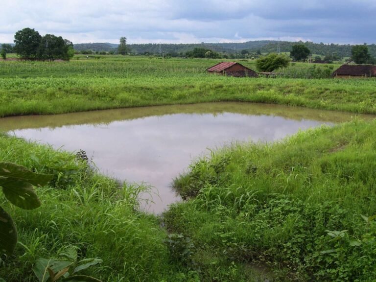 06Farm Pond in monsoon - Samaj Pragati Sahayog - SPS